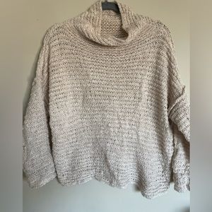 Aerie Chenille Turtleneck